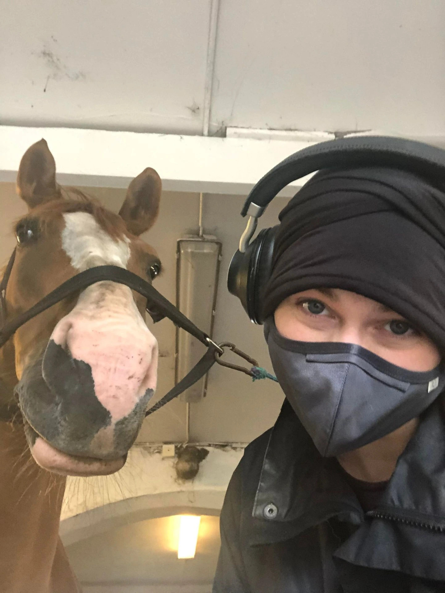 Kryphål för hur man kunde umgås med hästen trots nedsatt immunförsvar